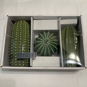 IKEA New in box cactus decor
